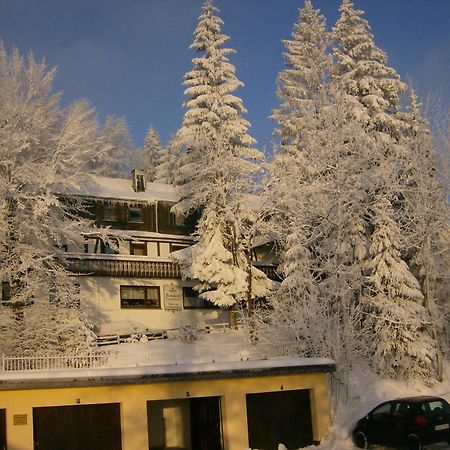 Pension Stiegelmeier วินเทอร์แบร์ก ภายนอก รูปภาพ