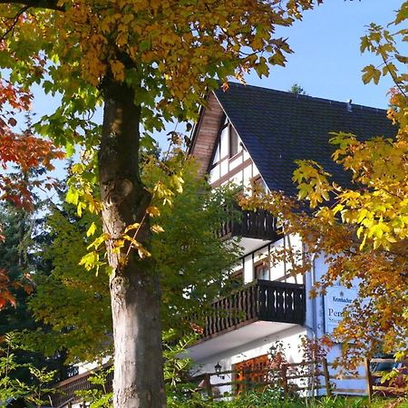 Pension Stiegelmeier วินเทอร์แบร์ก ภายนอก รูปภาพ