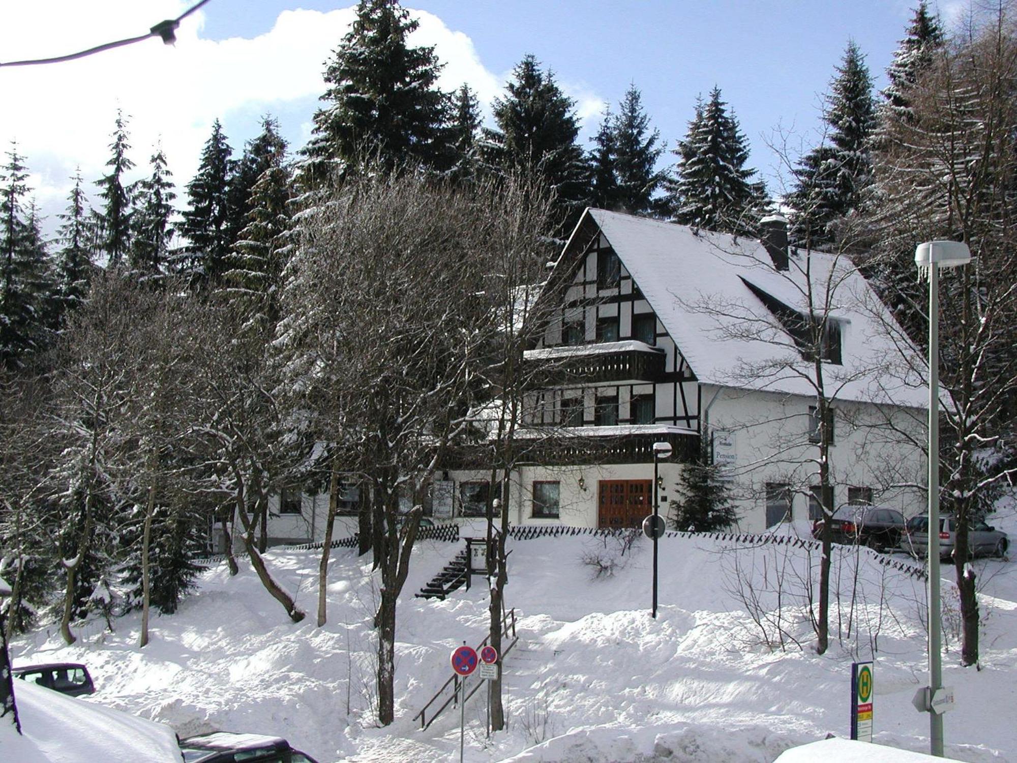 Pension Stiegelmeier วินเทอร์แบร์ก ภายนอก รูปภาพ
